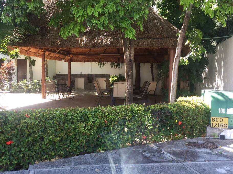 Palapa comun