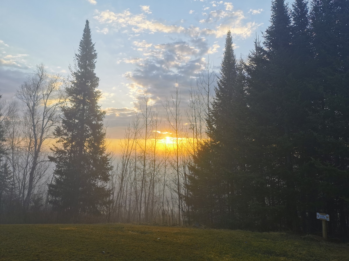 Trees frame a serene landscape where the sun rises, casting gentle light through a misty atmosphere. The ground is covered in lush greenery, indicating a natural and tranquil environment.