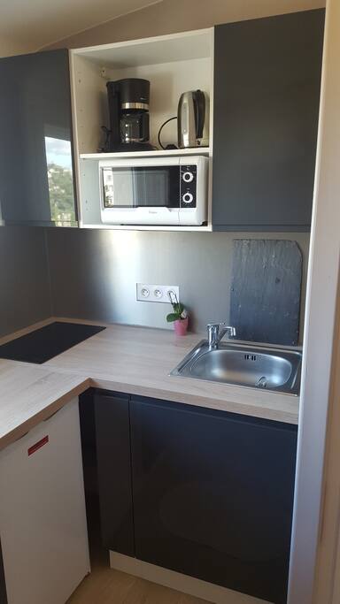 Coin cuisine avec évier, plaque à induction, micro onde, bouilloire, cafetière