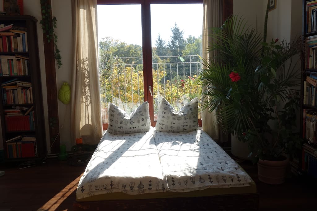 Treetop dreaming