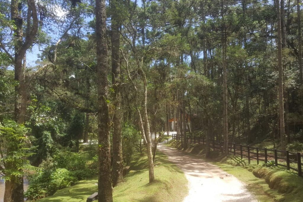 Estrada beirando o rio