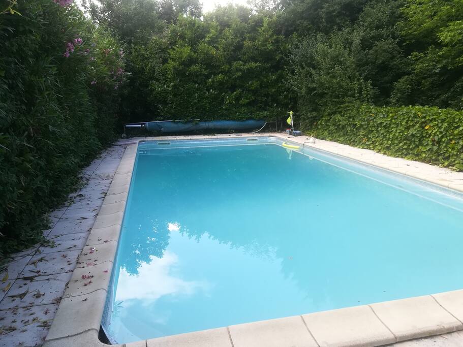 Piscine extérieure à l'abri des regards