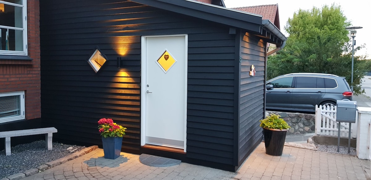 The exterior of the house features a modern black wood facade, illuminated by warm outdoor lighting. A bright white door with unique diamond-shaped windows serves as the entrance. Flower pots with vibrant plants are positioned by the door, adding a welcoming touch.