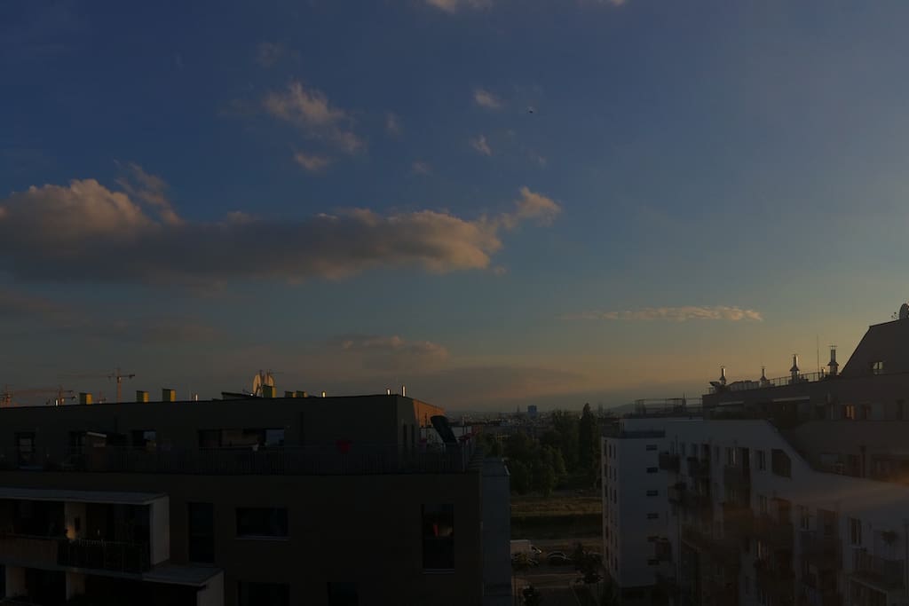 View