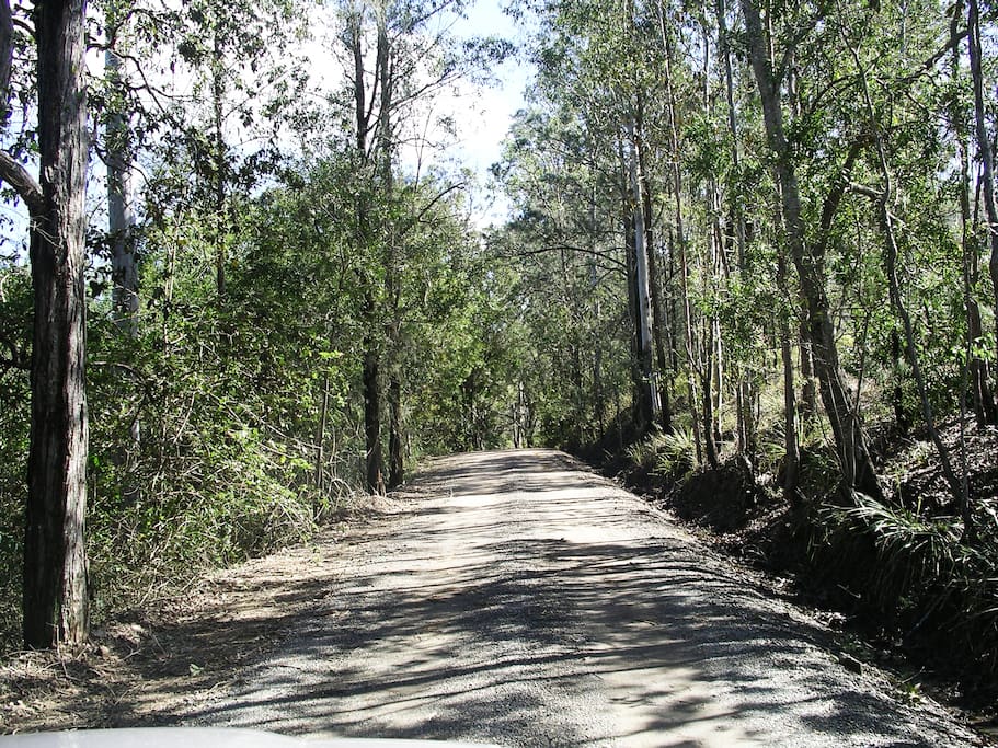 This leafy all weather gravel road is the access to our home