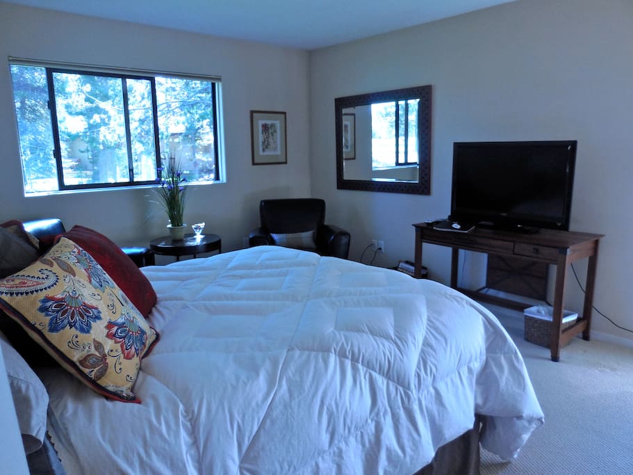 The room has lots of light.