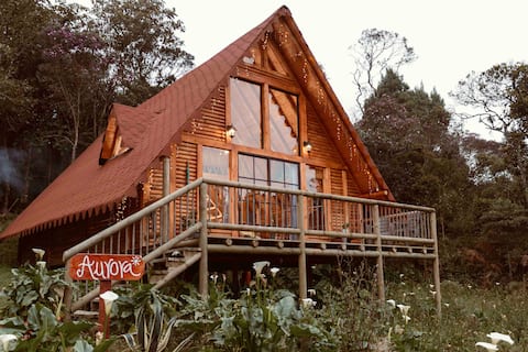 CHALET CABIN SURROUNDED BY NATURE (AURORA)