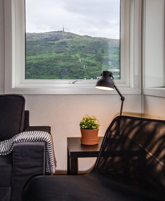 View to Ulriken