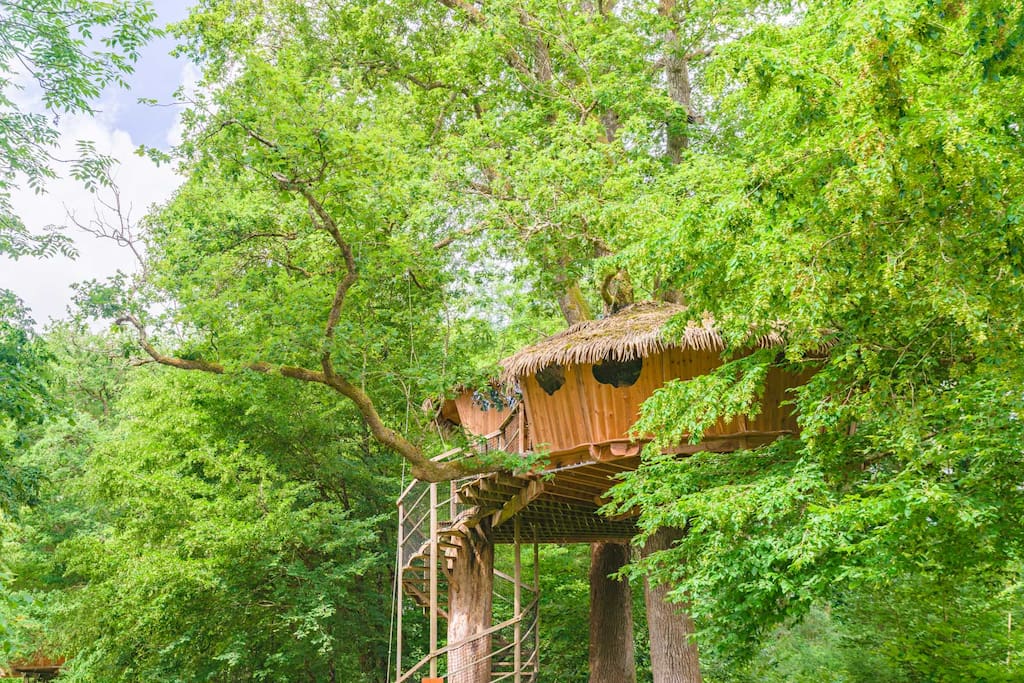 Cabane dans les arbres avec deux chambres