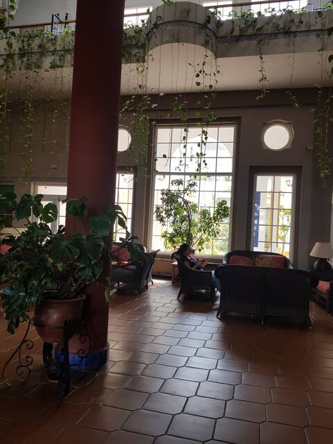 Popular Airbnb listing: Cozy apartment in the Aldea del Rocío in Almonte