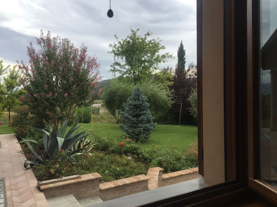 Fronte