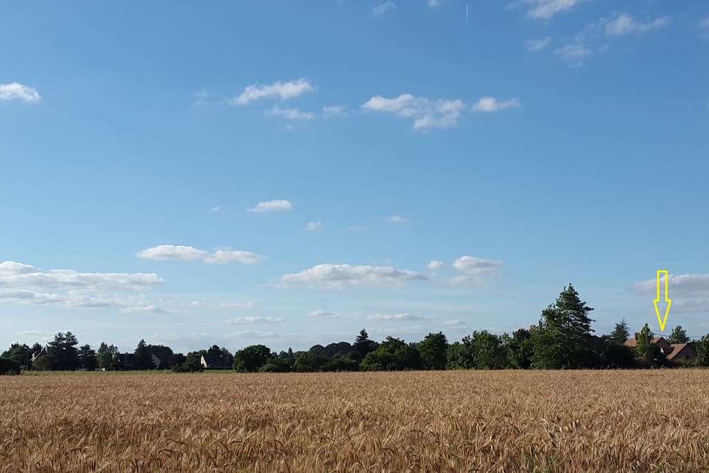 La Bréachère au coeur de la campagne environnante