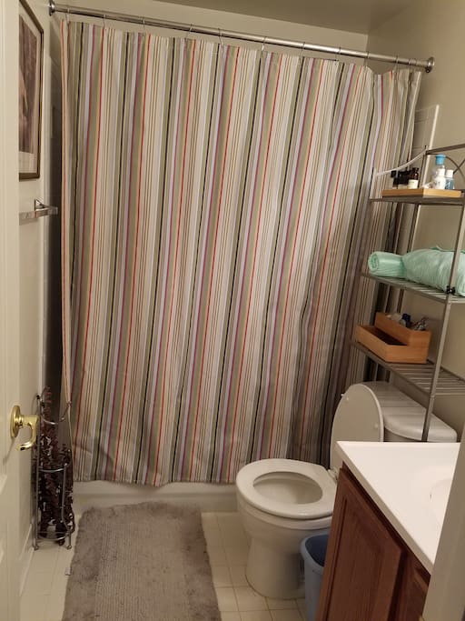 Full bathroom with shower/tub. We try to keep it stocked with necessities, just in case you forgot something.