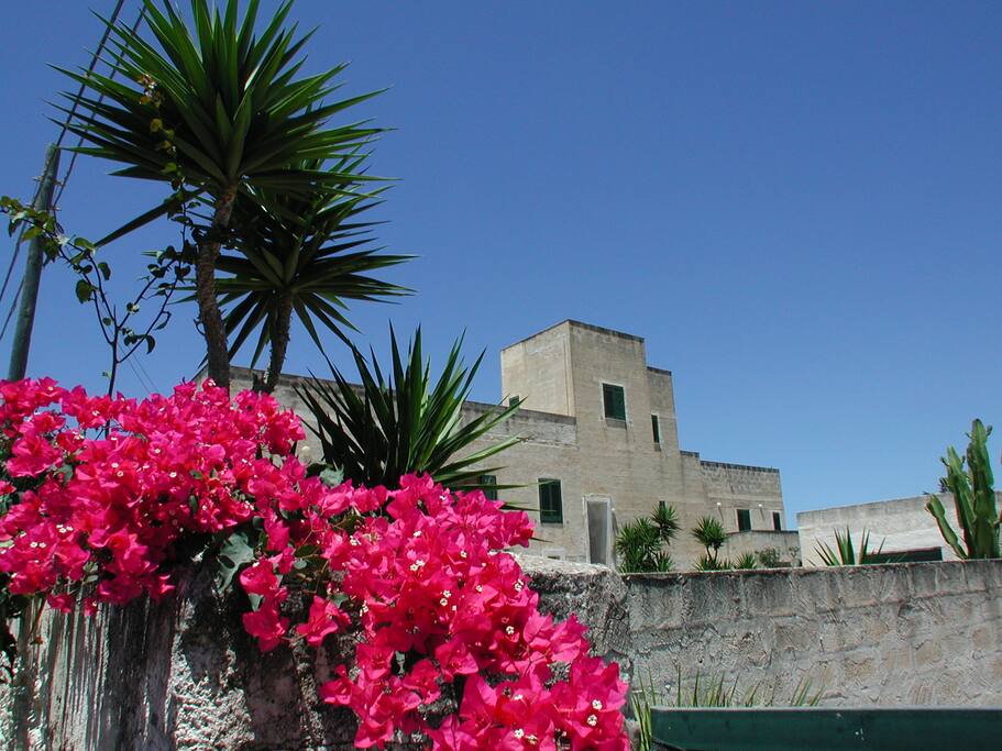 Vista esterna