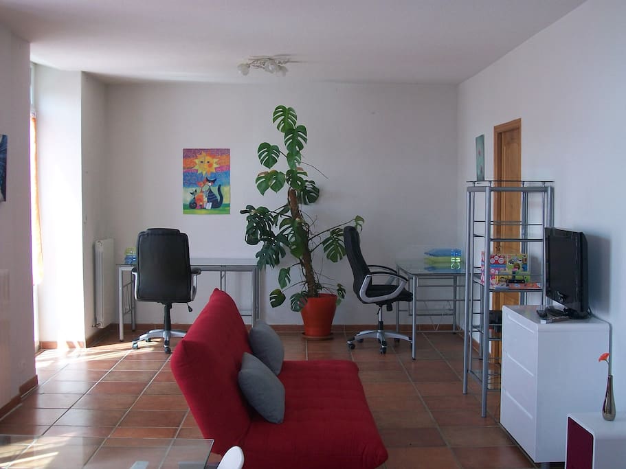 Un salon spacieux avec un canapé convertible supplémentaire.