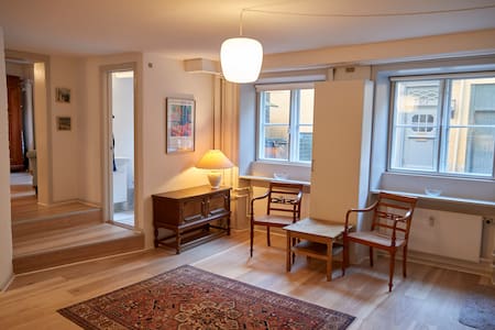Charming studio apartment next to King's Garden