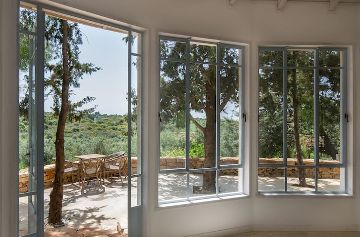 The Cabin under the Pine Trees
