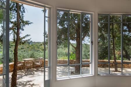 The Cabin under the Pine Trees
