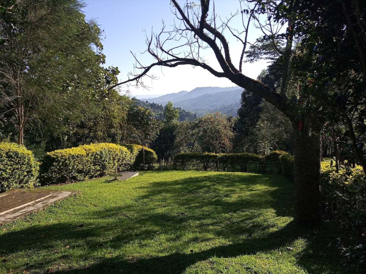 A serene outdoor garden area is highlighted by well-maintained green lawns and lush hedges. A tree with a gnarled branch extends overhead, providing a natural canopy. The distant mountains are visible, complementing the peaceful setting under a clear blue sky.