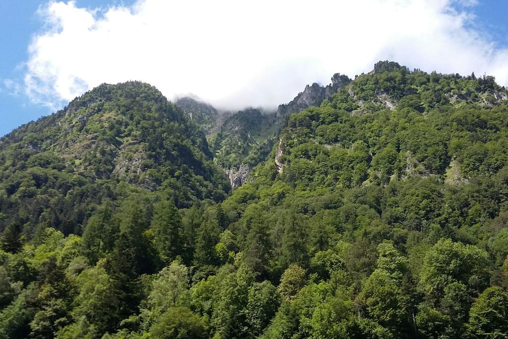 Vue du balcon