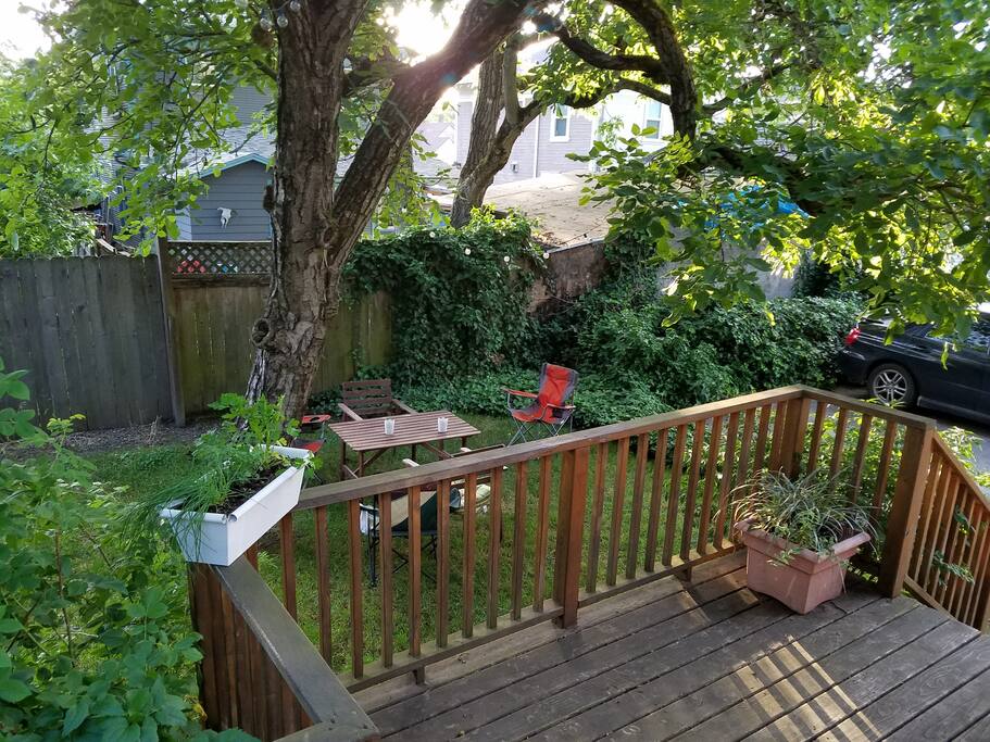 Lower back porch and yard that we share with the downstairs neighbors. Beautiful lights are strung throughout the trees for evening and night festivities.