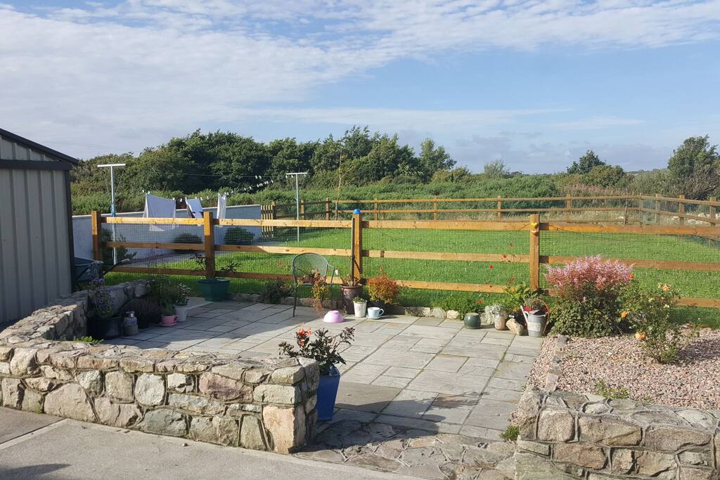 Our back garden