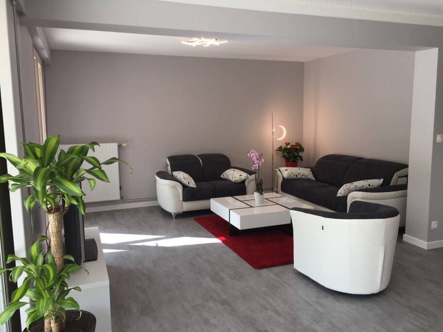 Coin Salon