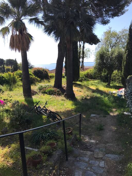 Le Jardin