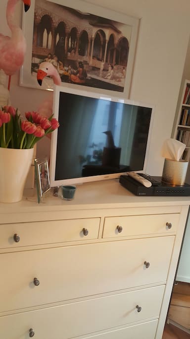 ☆☆TV and Music☆☆