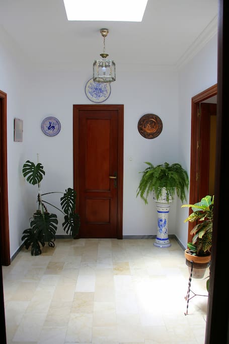 Entrada luminosa con plantas y con puerta a un primer baño