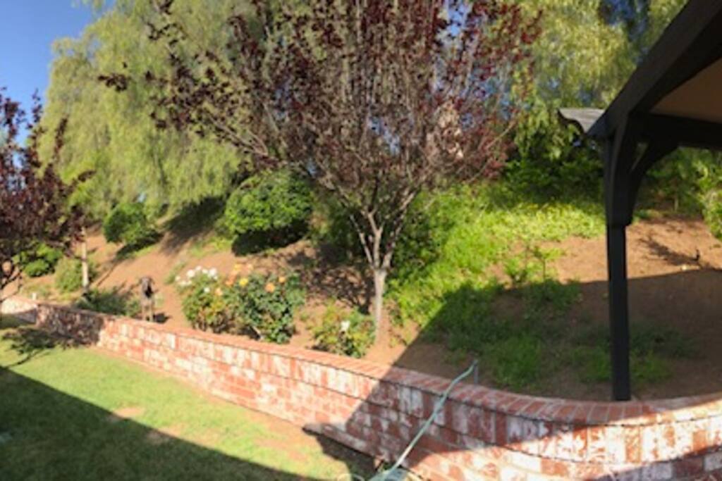 Lush green backyard area, perfect for entertaining and relaxing! Custom cabana for shade and comfort! Grill access as well!