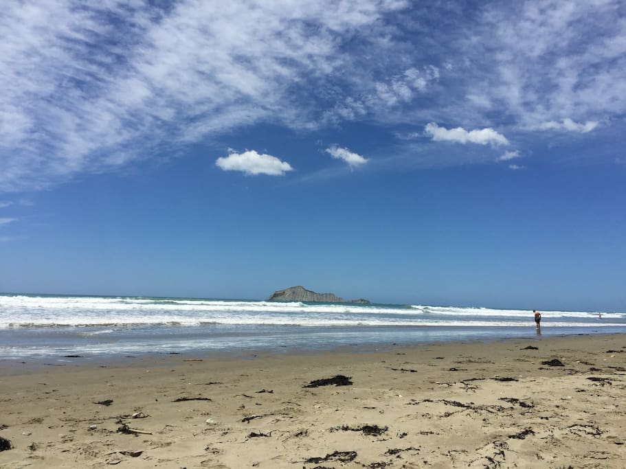 Stunning Waimarama Beach!