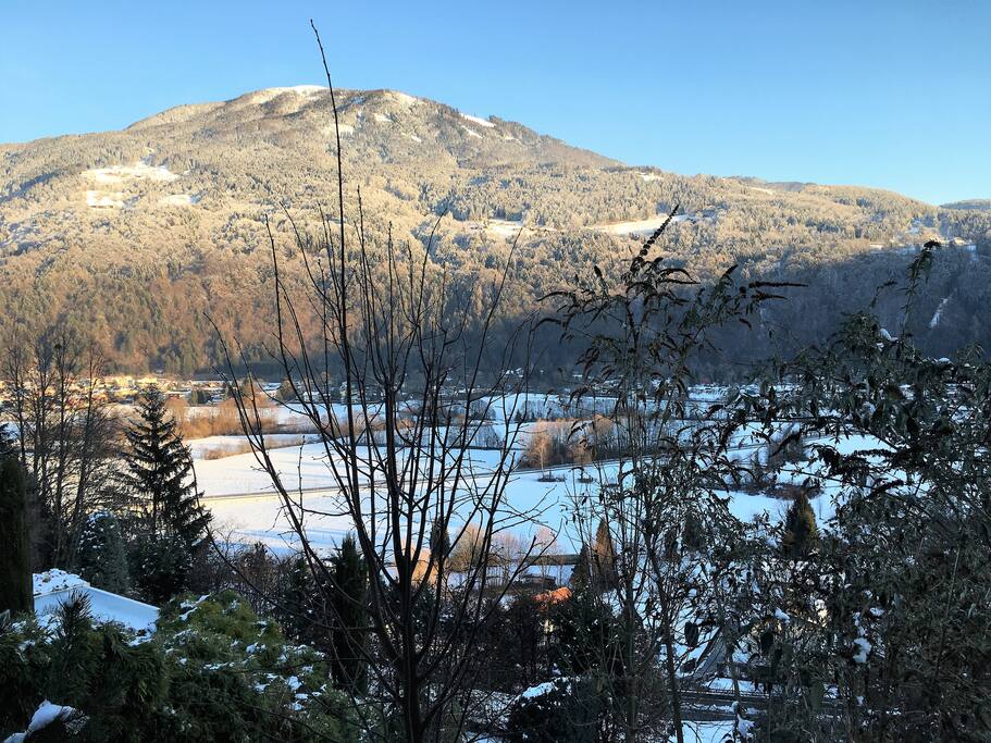 Blick auf den Mirnock vom Haus aus