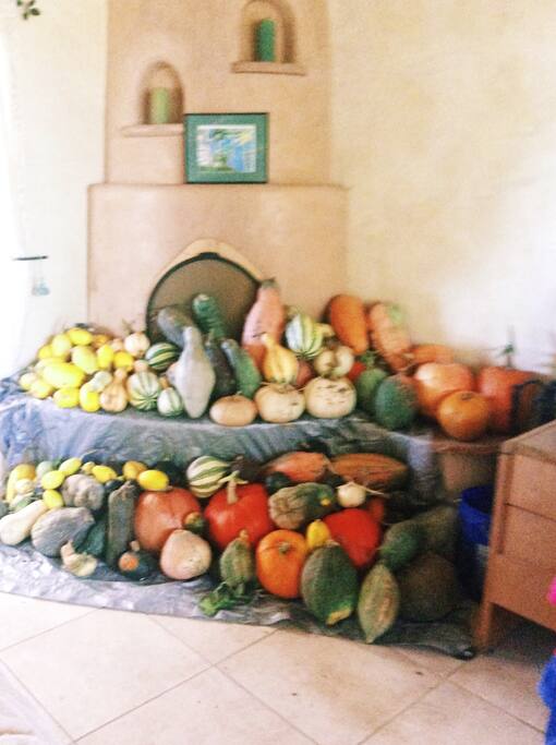 The harvest from my garden