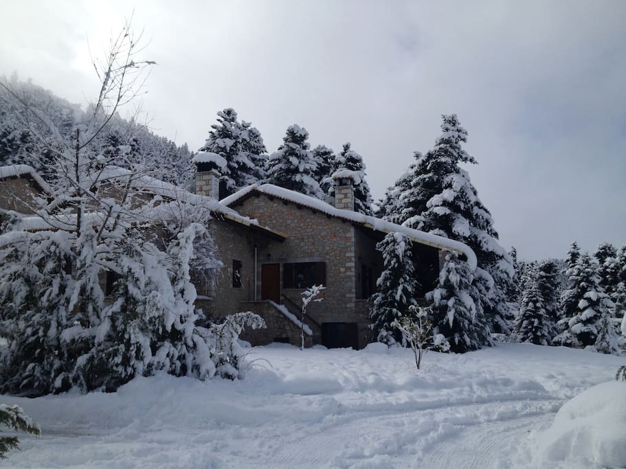 Winter at Serendipity Chalet