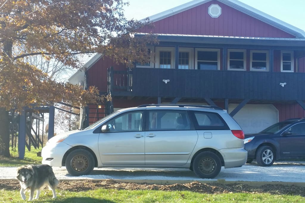 parking area on easy side of house, and our friendly dog