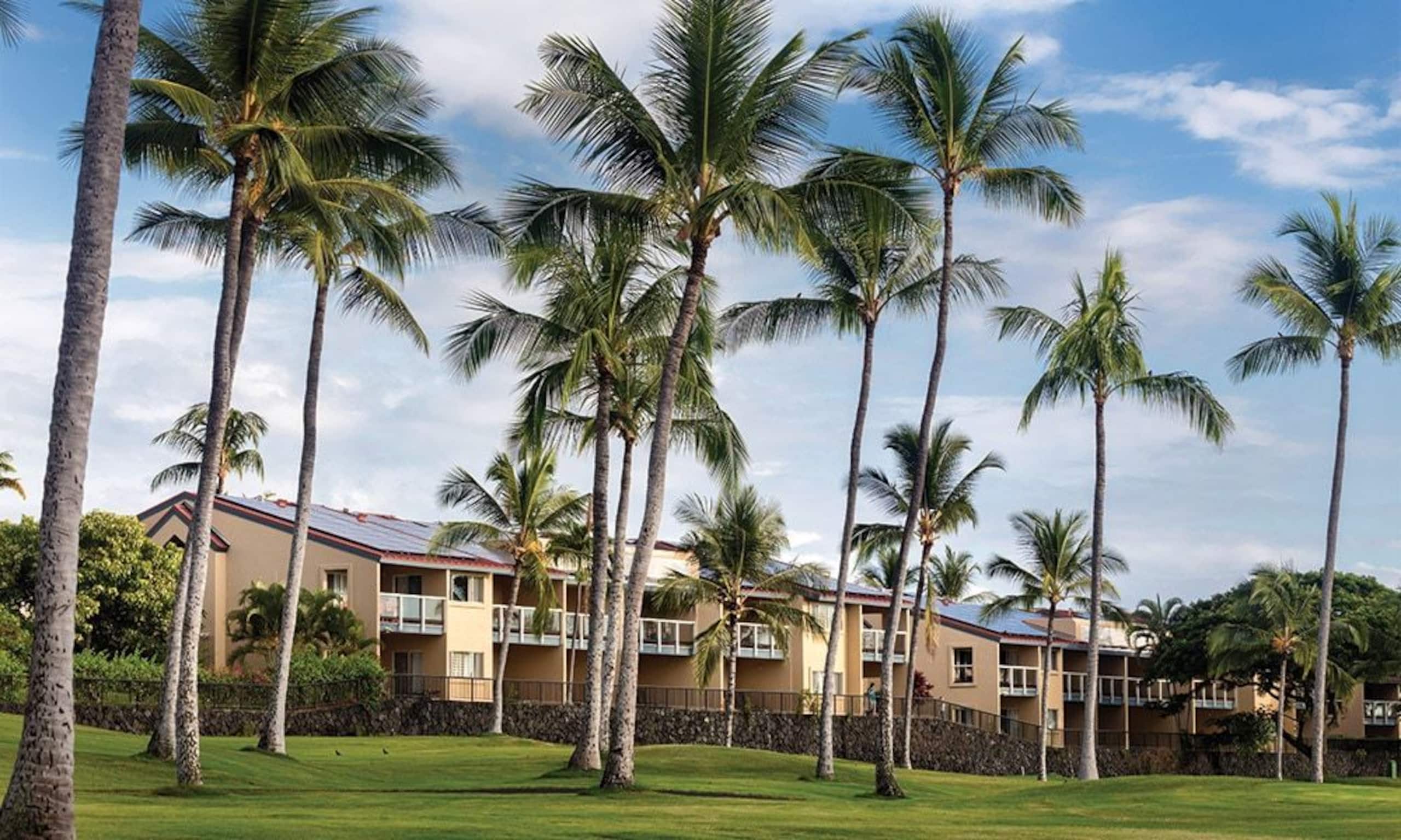Condo in Kailua-Kona · ★4.5 · 2 bedrooms · 4 beds · 2 shared baths - Image 2