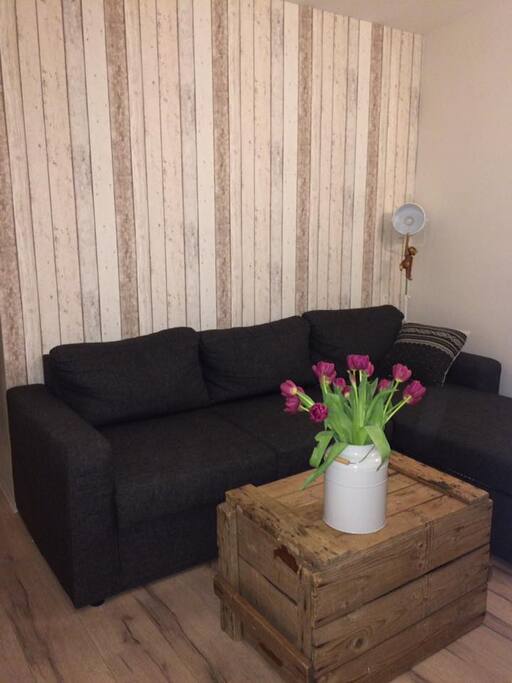 Livingroom with a sleeper sofa