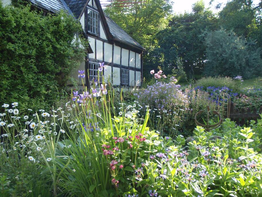 View of front garden.