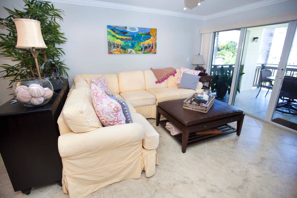 Living room and TV area