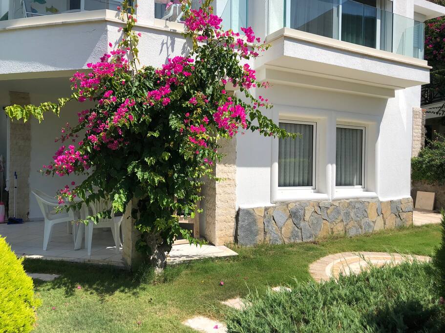 Bahçe katı
