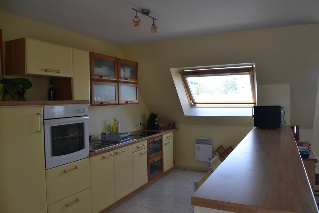 La cuisine tout équipée (plaques de cuisson, four, micro-ondes, machine à café, bouilloire, frigo, freezer, vaisselle )