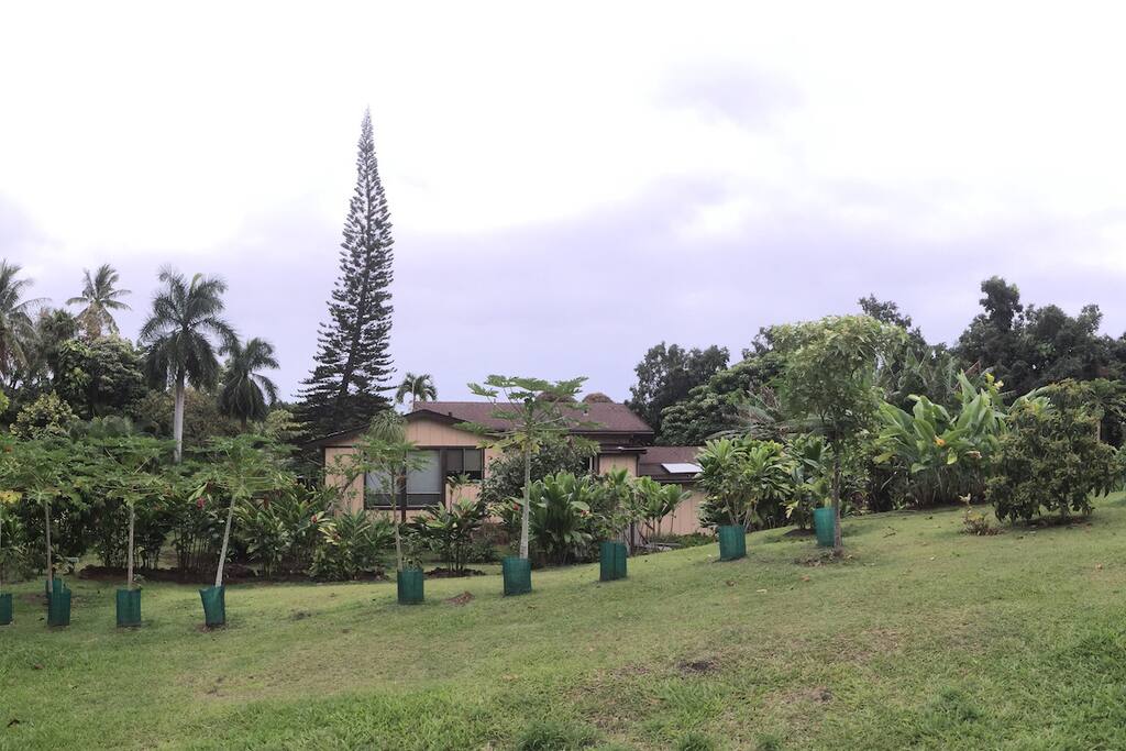 The back of the property.