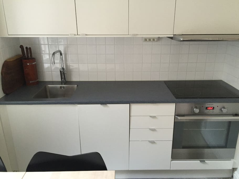 Fully equipped kitchen with high-end appliances, including induction stove and convection oven, as well as dishwasher.