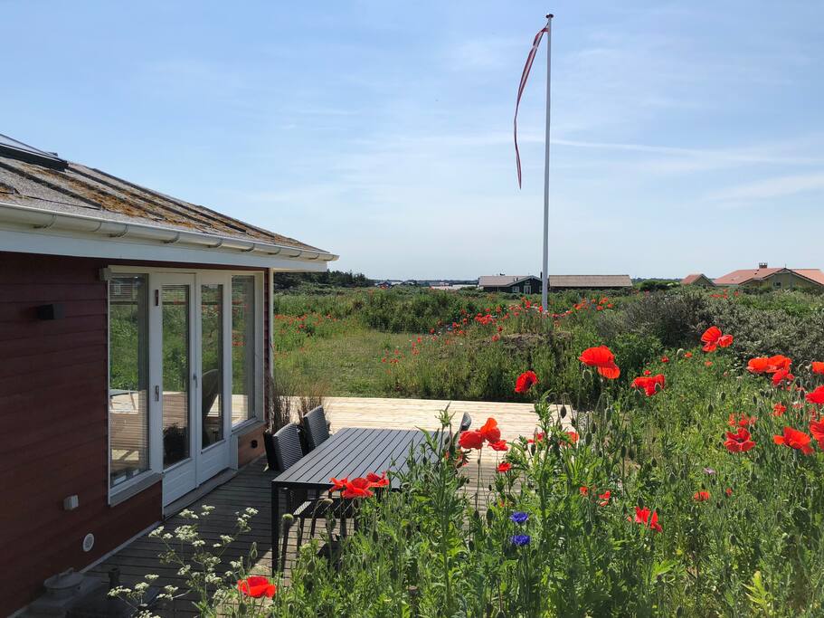 Der er stor træ terrasse rundt huset mod syd og vest. Her er der havebord med 4 stole samt 2 solvogne. Der er en lille terrasse mod øst, med cafébord og to stole.