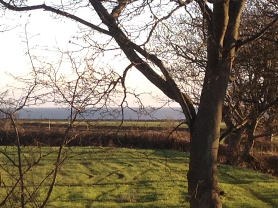 View Of the Sea