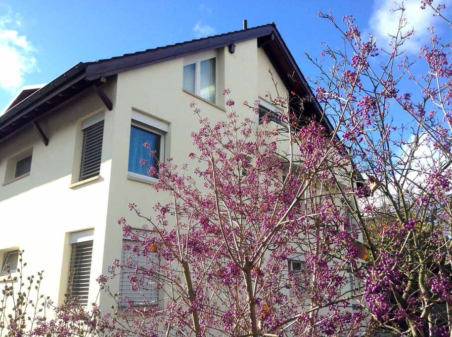 The apartment house