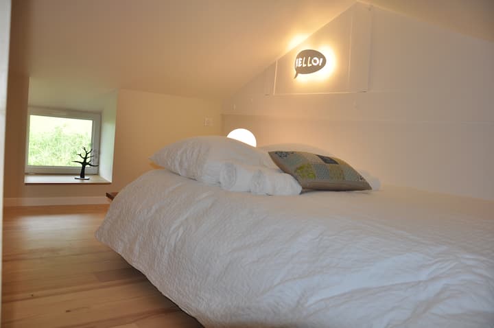 ch4 ანტრესოლი