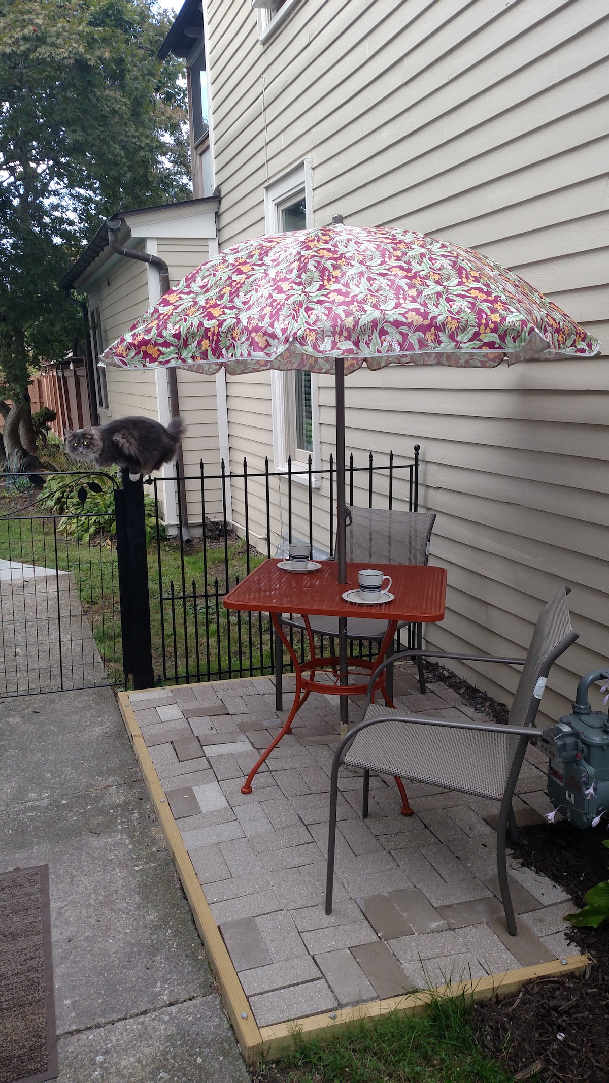 An outdoor table with two seats and an umbrella is situated by the side entrance of the apartment. The table is set with two cups, and a gray cat can be seen perched on a nearby fence, enhancing the cozy ambiance of the space.