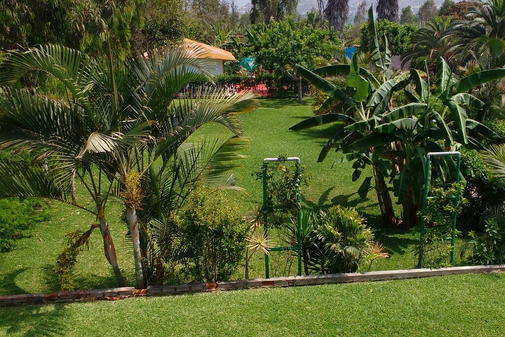 Our gardens, from a lookout.